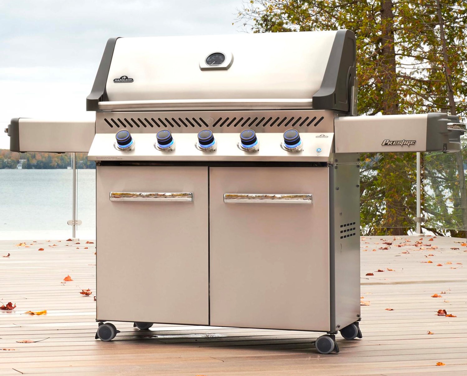 Napoleon Products (Infor VISUAL)