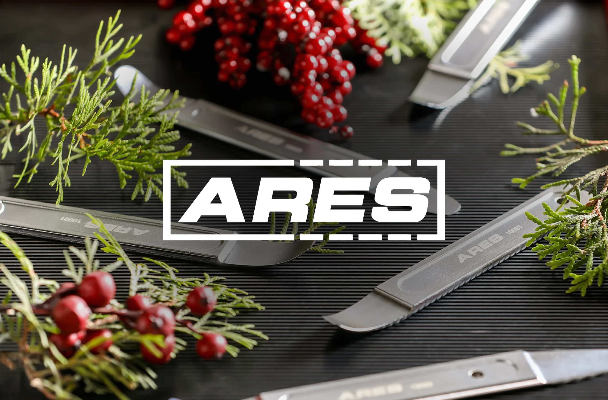 ARES Tool (NetSuite)