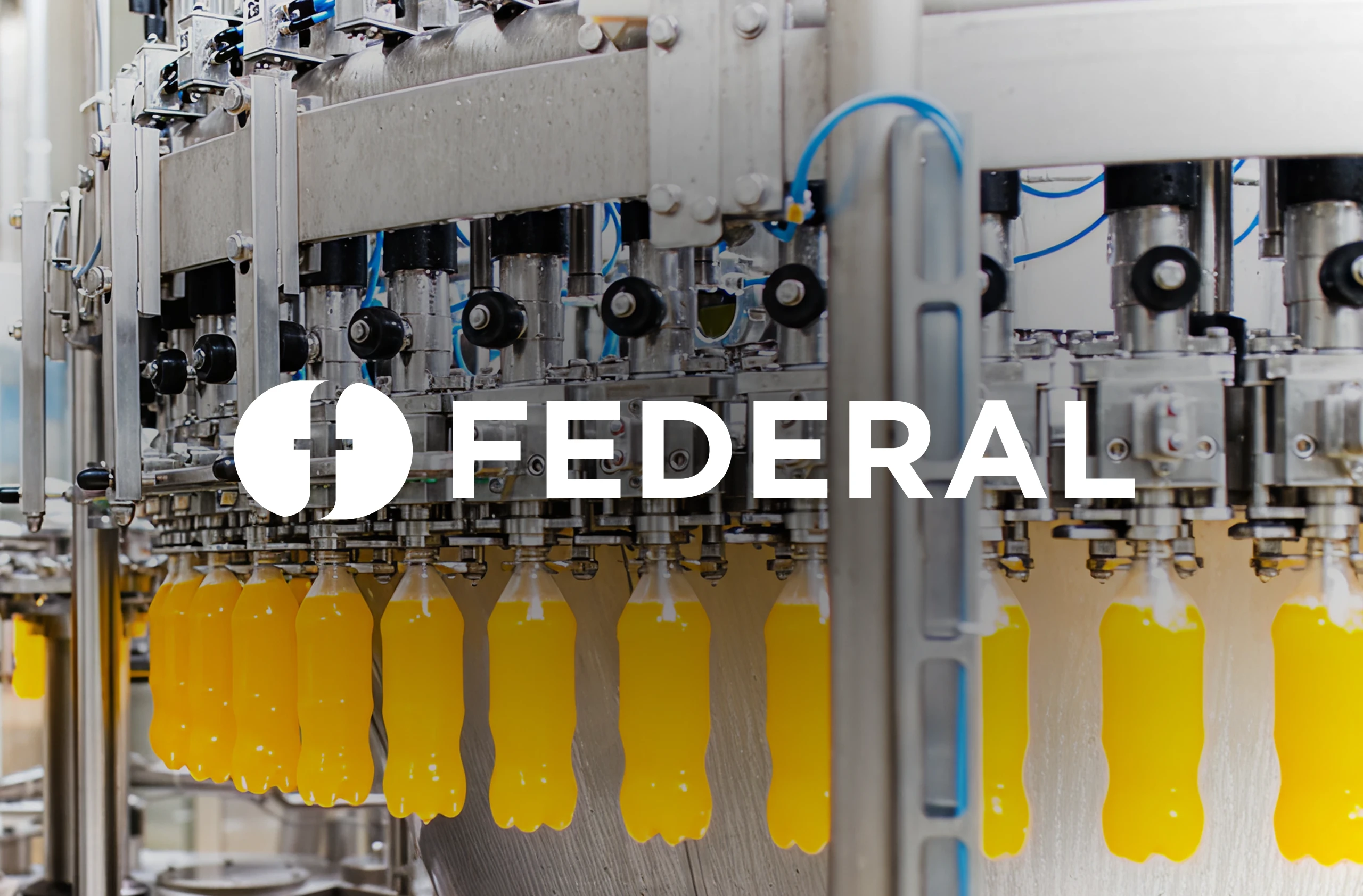 Federal Manufacturing (Infor CSI)